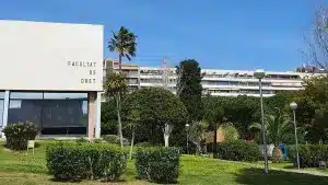 especializaciones en la abogacía