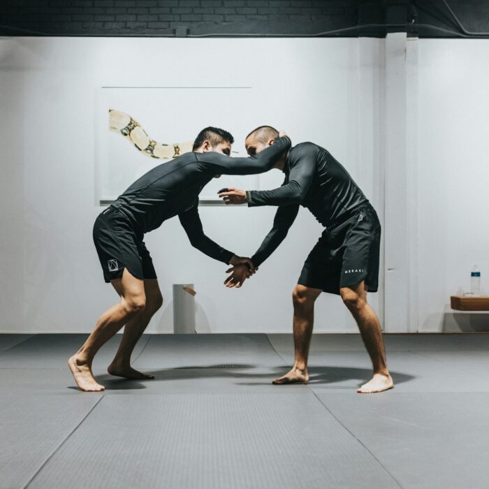 agravante por practicar artes marciales