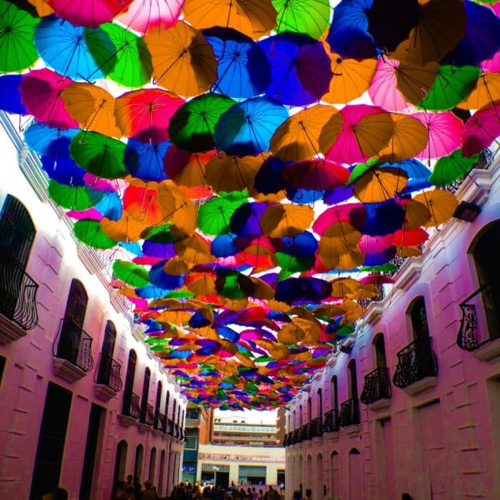 Problemas penales con el canje de la licencia venezolana