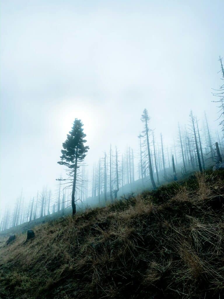 defender a un asesino