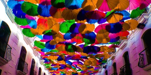 Problemas penales con el canje de la licencia venezolana